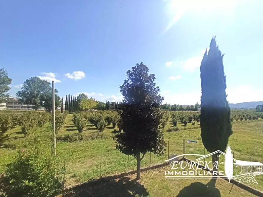 Immagine 23 di Casa indipendente in vendita  in località Pineta a Castiglione Del Lago