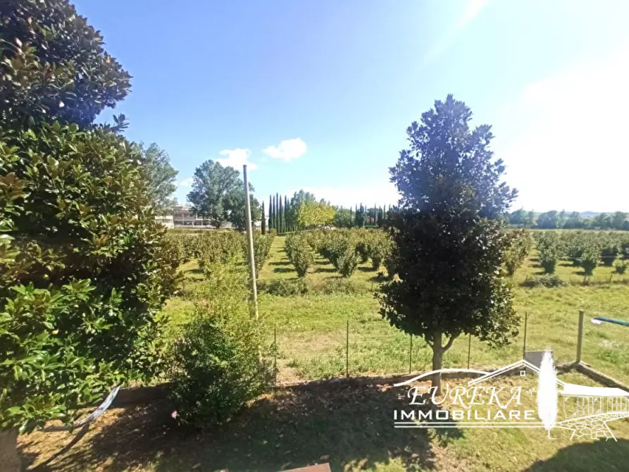 Immagine 24 di Casa indipendente in vendita  in località Pineta a Castiglione Del Lago