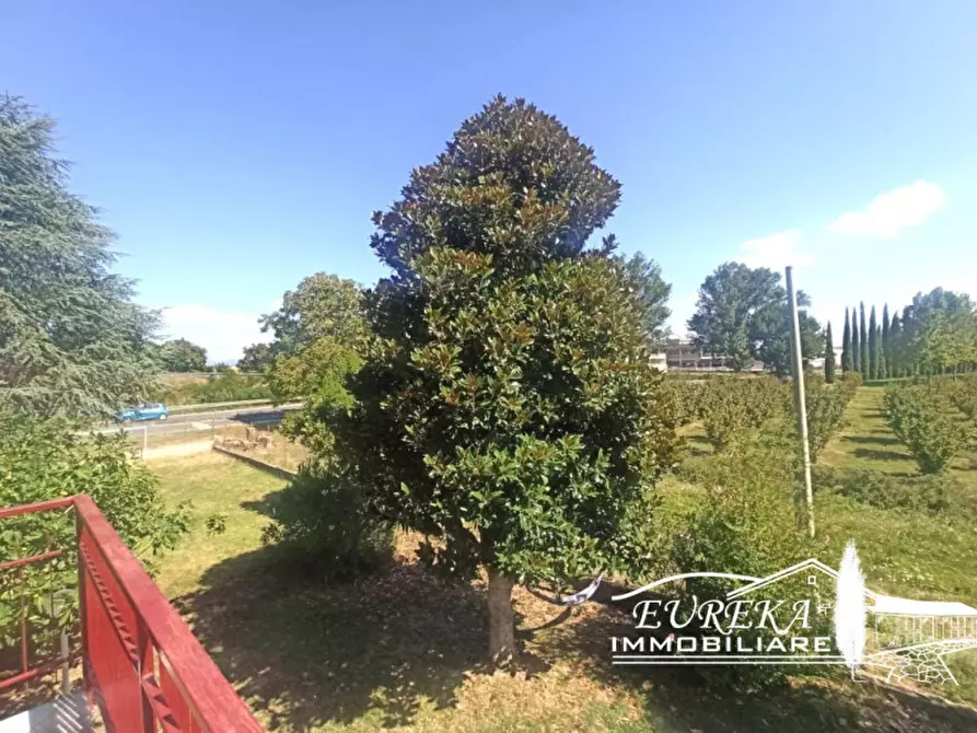 Immagine 25 di Casa indipendente in vendita  in località Pineta a Castiglione Del Lago