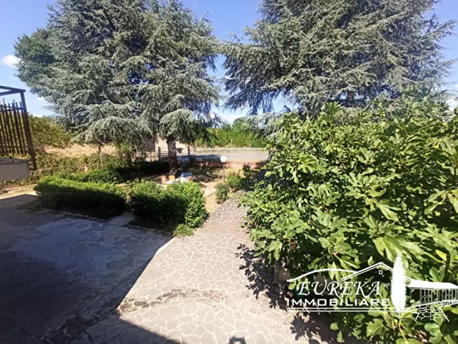 Immagine 26 di Casa indipendente in vendita  in località Pineta a Castiglione Del Lago