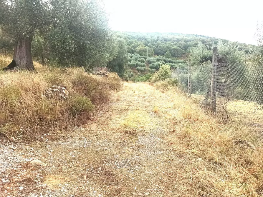 Immagine 4 di Terreno in vendita  in località Casalini a Panicale