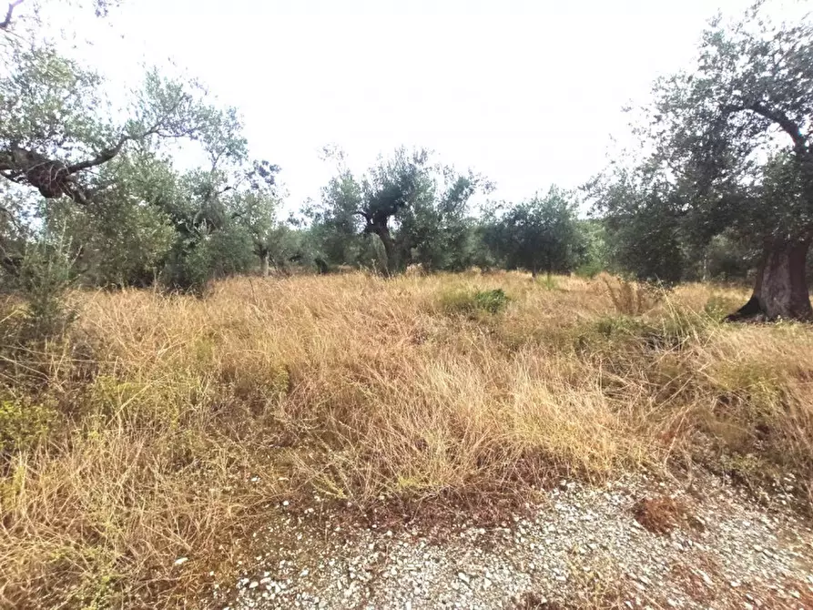 Immagine 6 di Terreno in vendita  in località Casalini a Panicale
