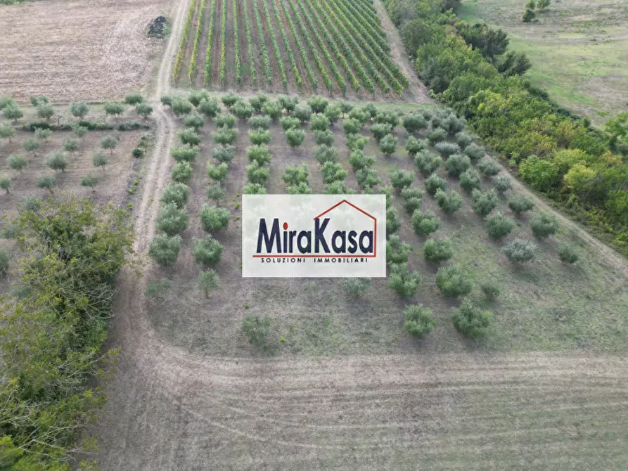 Immagine 8 di Villa in vendita  in Via di Oriolo a Faenza