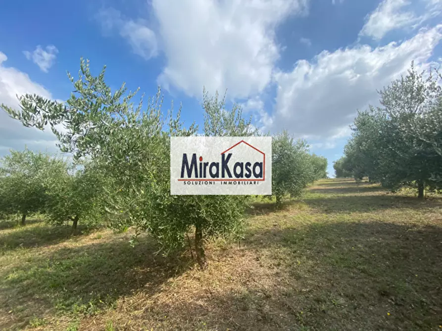 Immagine 9 di Villa in vendita  in Via di Oriolo a Faenza