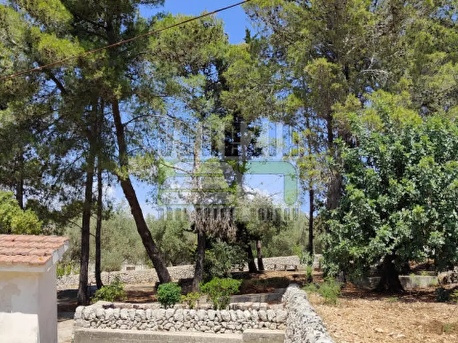 Immagine 13 di Villa in vendita  in San Corrado Lenzavacche a Noto