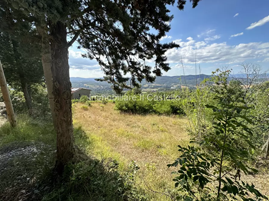 Immagine 20 di Terreno in vendita  in ponibbiale a Piegaro