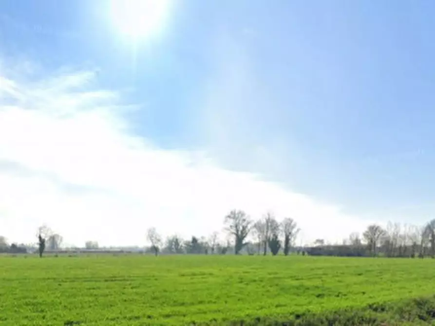 Immagine 1 di Terreno in vendita  in Via Volpino a Pianiga