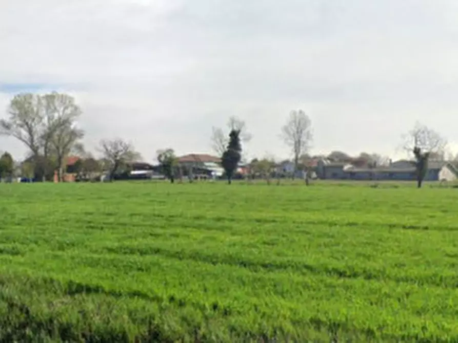 Immagine 2 di Terreno in vendita  in Via Volpino a Pianiga