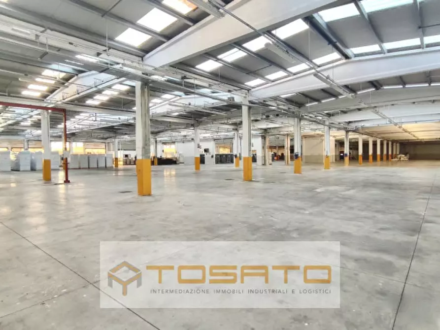 Immagine 1 di Capannone industriale in affitto  a Costa Di Rovigo