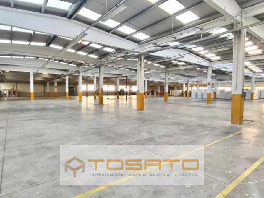 Immagine 2 di Capannone industriale in affitto  a Costa Di Rovigo