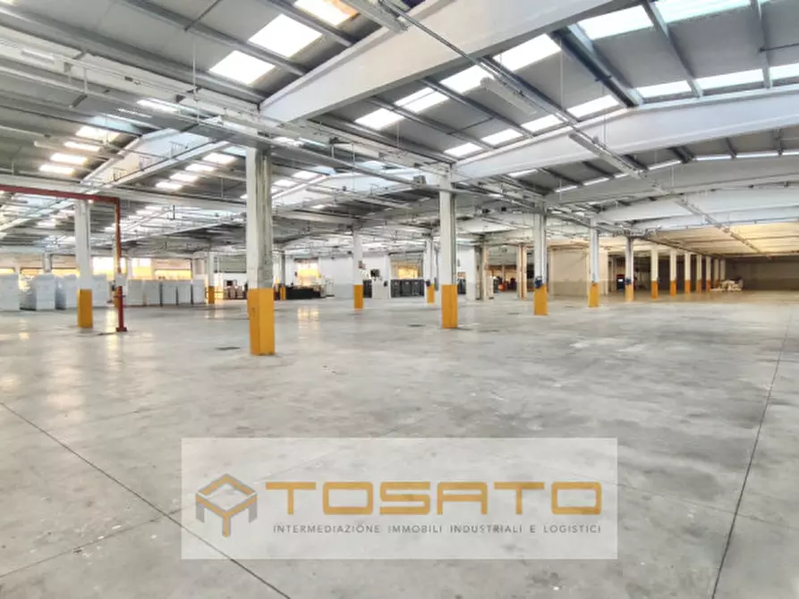 Immagine 3 di Capannone industriale in affitto  a Costa Di Rovigo