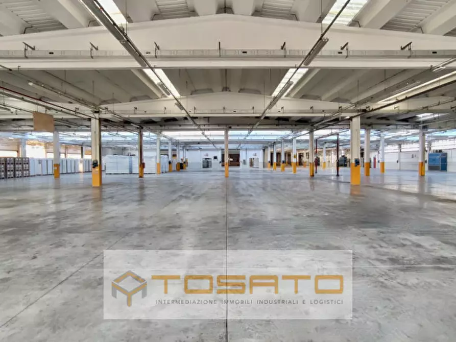 Immagine 5 di Capannone industriale in affitto  a Costa Di Rovigo