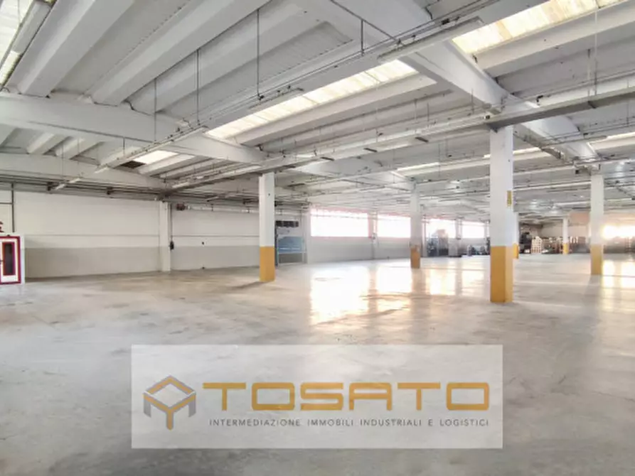 Immagine 6 di Capannone industriale in affitto  a Costa Di Rovigo