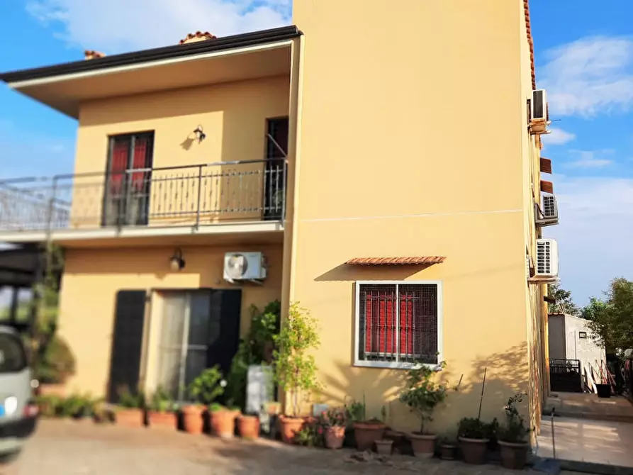 Immagine 2 di Villa in vendita  in Contrada Cicala a Partinico