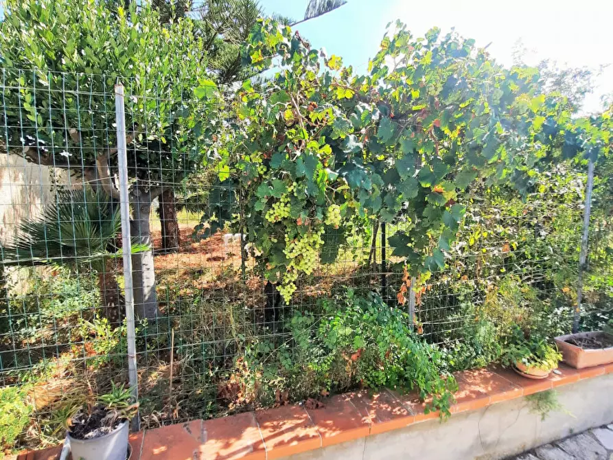 Immagine 20 di Villa in vendita  in Contrada Cicala a Partinico