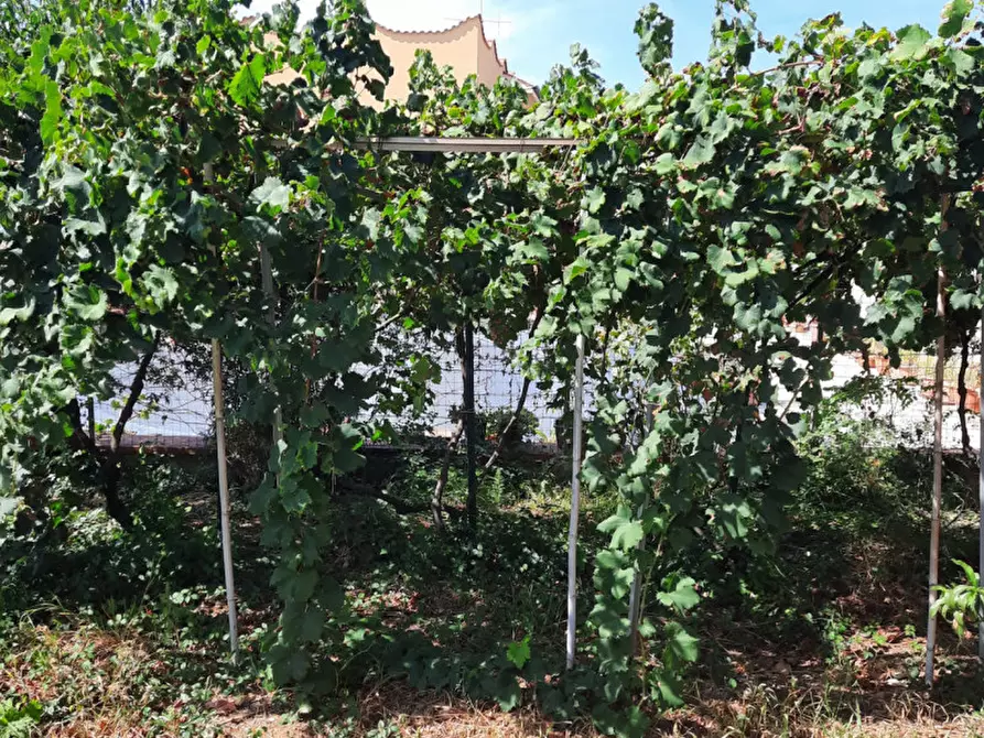 Immagine 21 di Villa in vendita  in Contrada Cicala a Partinico