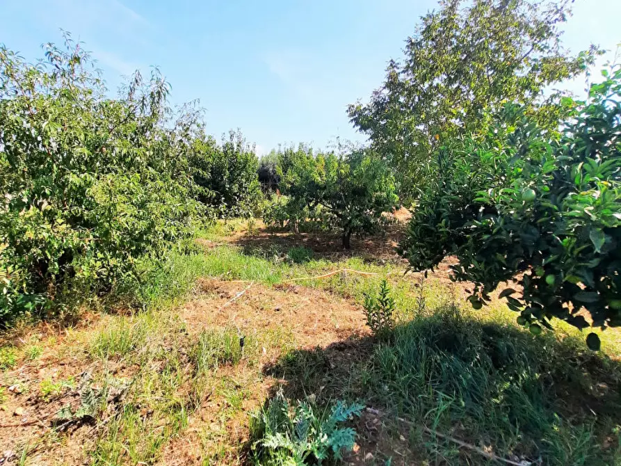 Immagine 22 di Villa in vendita  in Contrada Cicala a Partinico