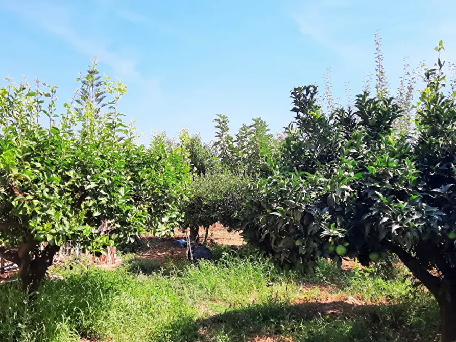 Immagine 23 di Villa in vendita  in Contrada Cicala a Partinico