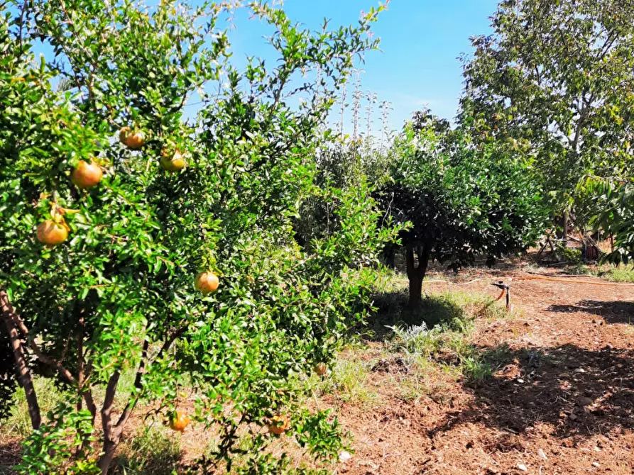 Immagine 24 di Villa in vendita  in Contrada Cicala a Partinico