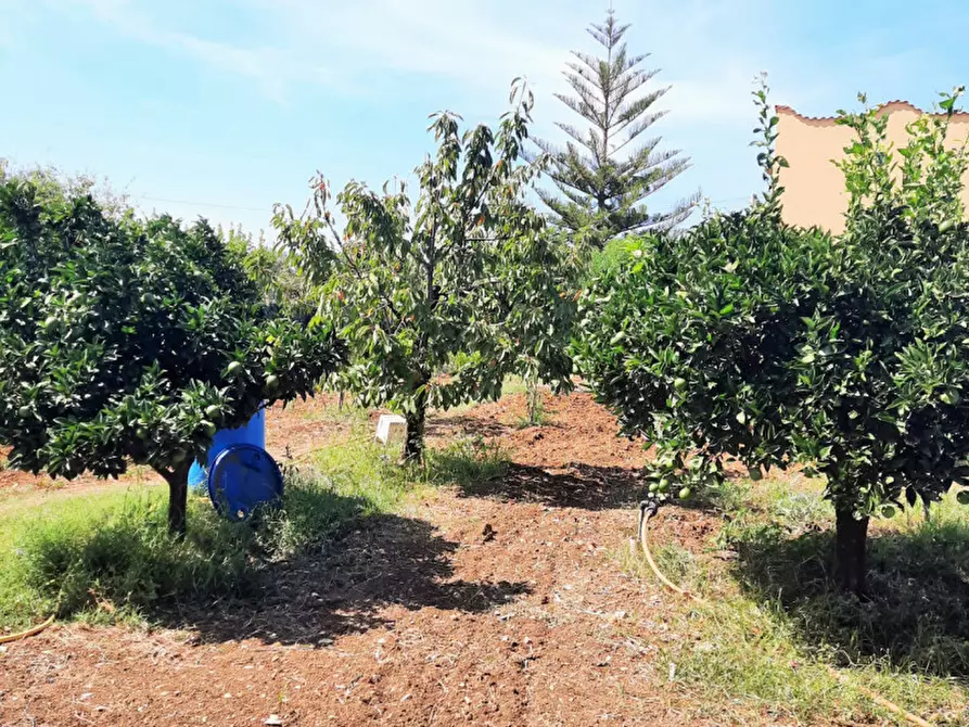 Immagine 25 di Villa in vendita  in Contrada Cicala a Partinico