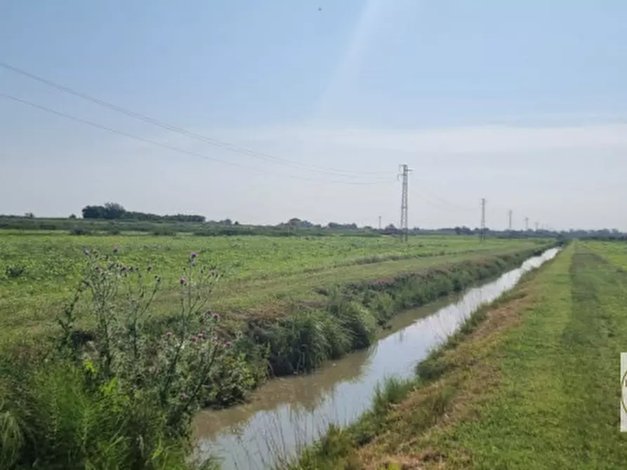 Immagine 2 di Terreno in vendita  a Loreo