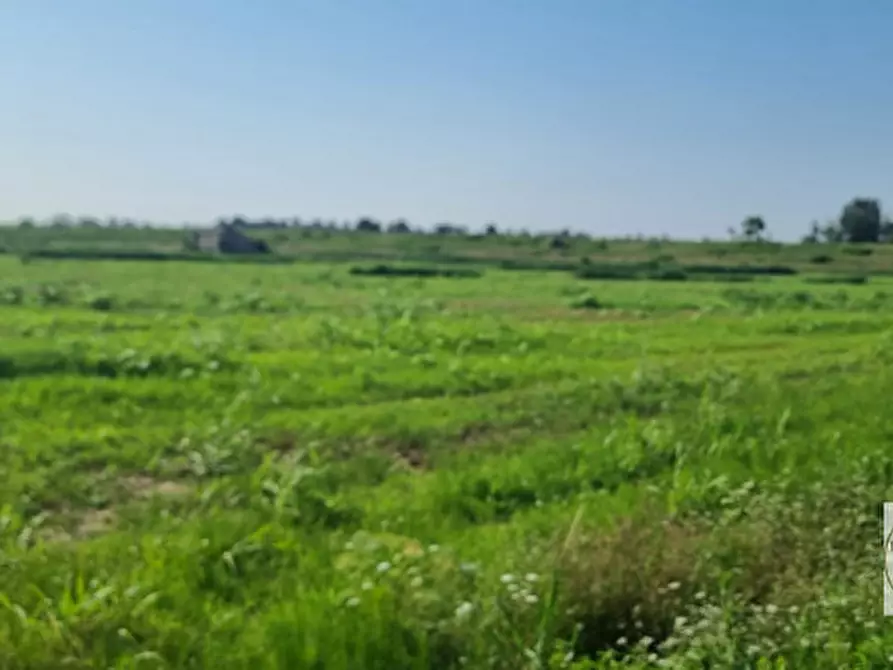 Immagine 3 di Terreno in vendita  a Loreo