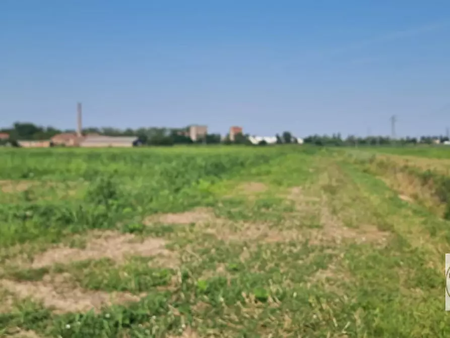 Immagine 4 di Terreno in vendita  a Loreo