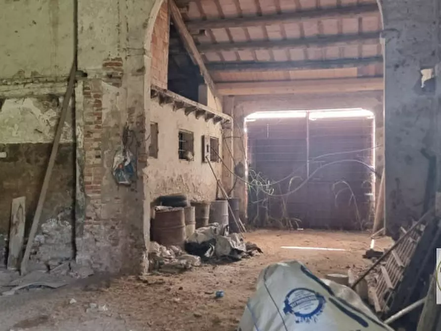 Immagine 10 di Terreno in vendita  a Loreo