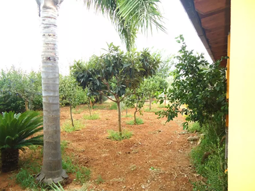 Immagine 9 di Villa in vendita  in SP 223 a Gallipoli