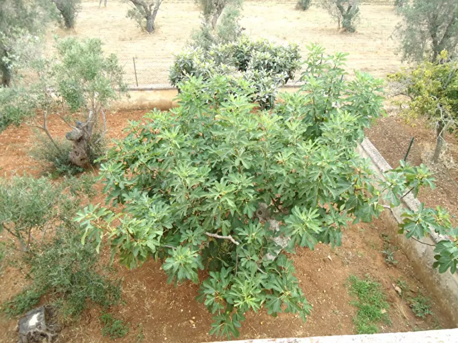 Immagine 15 di Villa in vendita  in SP 223 a Gallipoli