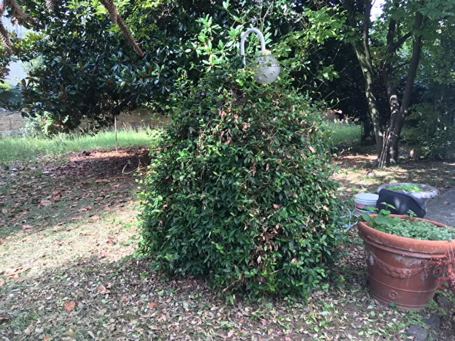 Immagine 12 di Villa in vendita  a Monselice