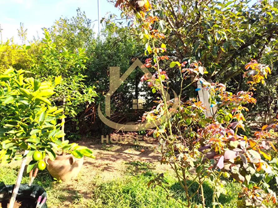 Immagine 37 di Villa in vendita  in CASSOLNOVO a Cassolnovo