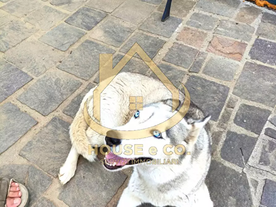 Immagine 40 di Villa in vendita  in CASSOLNOVO a Cassolnovo