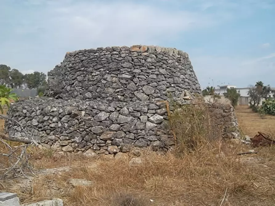 Immagine 6 di Rustico / casale in vendita  in Strada vicinale Matino Poggiardo a Matino