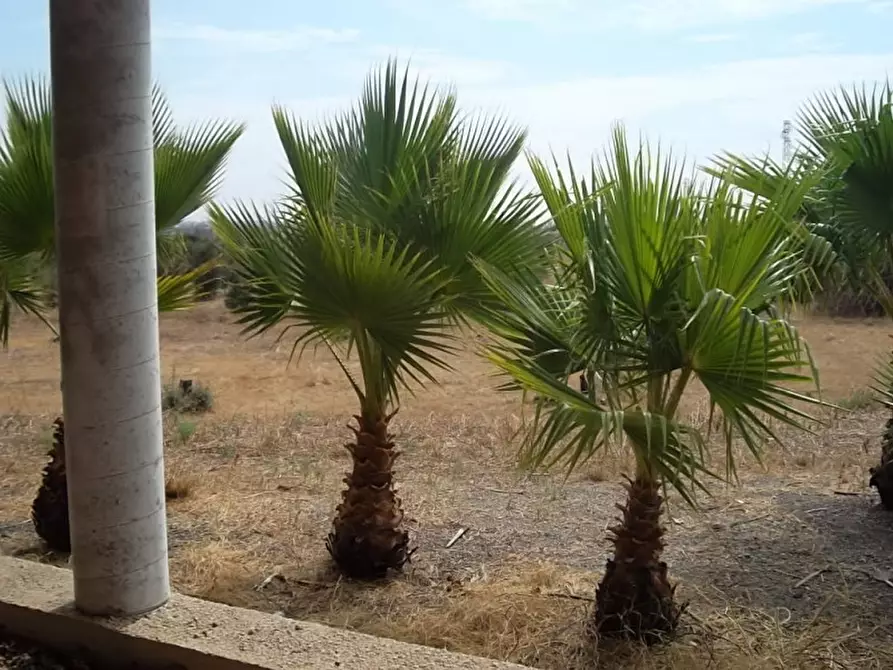 Immagine 19 di Rustico / casale in vendita  in Strada vicinale Matino Poggiardo a Matino