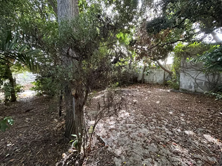 Immagine 6 di Villa in vendita  in VIA PESCE MISSINE, 61-63 a Trepuzzi