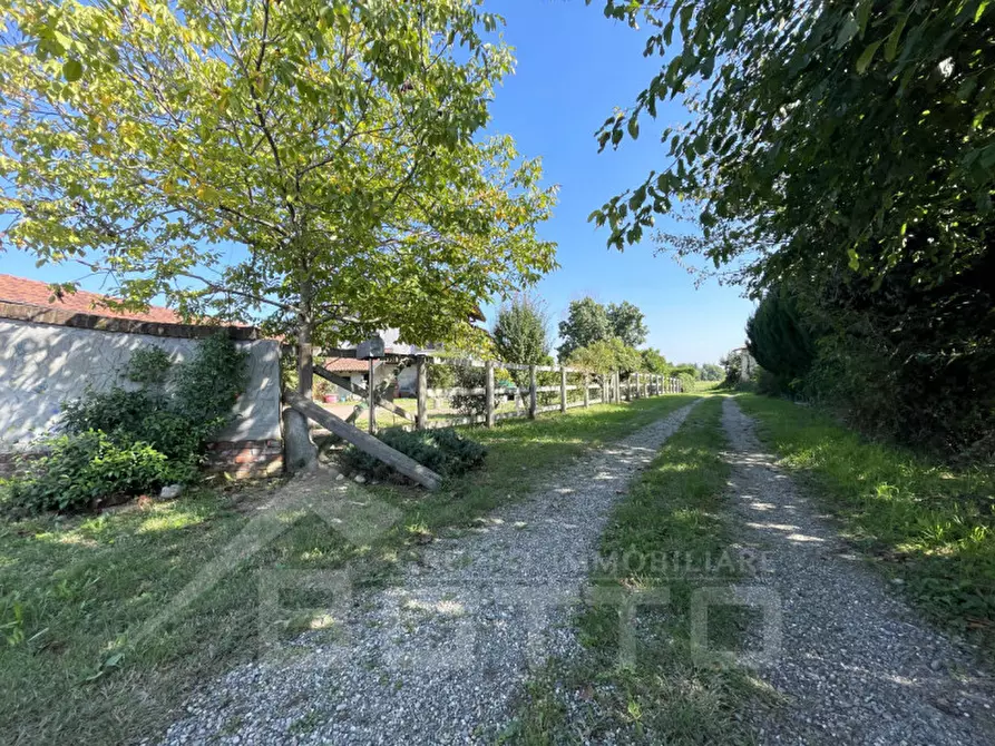 Immagine 17 di Casa indipendente in vendita  in via grizza a Oleggio