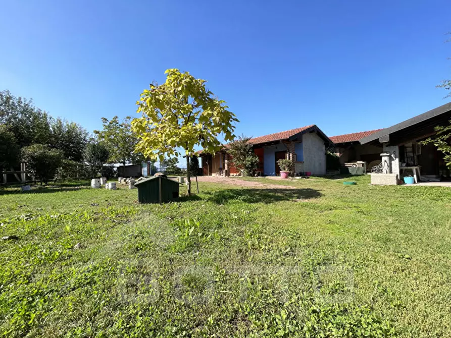 Immagine 29 di Casa indipendente in vendita  in via grizza a Oleggio