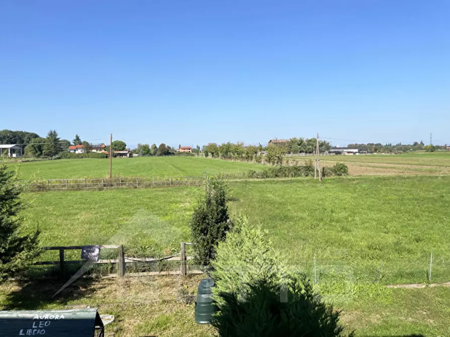 Immagine 33 di Casa indipendente in vendita  in via grizza a Oleggio