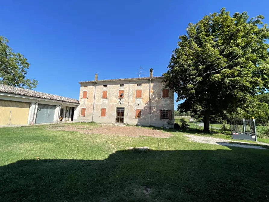 Immagine 4 di Rustico / casale in vendita  a Suzzara