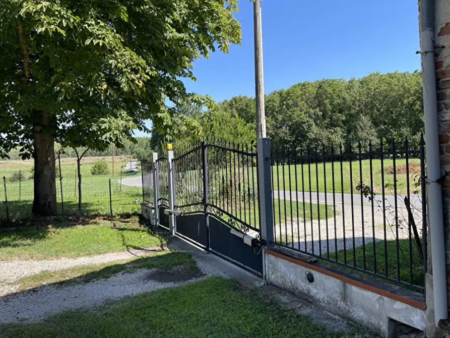 Immagine 24 di Rustico / casale in vendita  a Suzzara