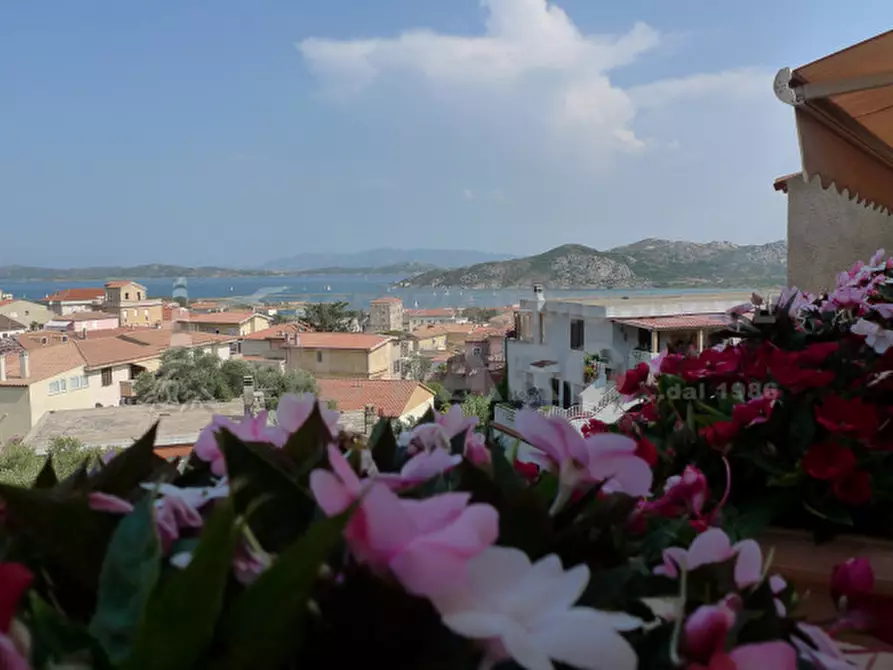 Immagine 28 di Appartamento in vendita  in Via terralugiana a La Maddalena