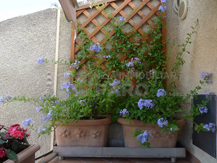 Immagine 36 di Appartamento in vendita  in Via terralugiana a La Maddalena