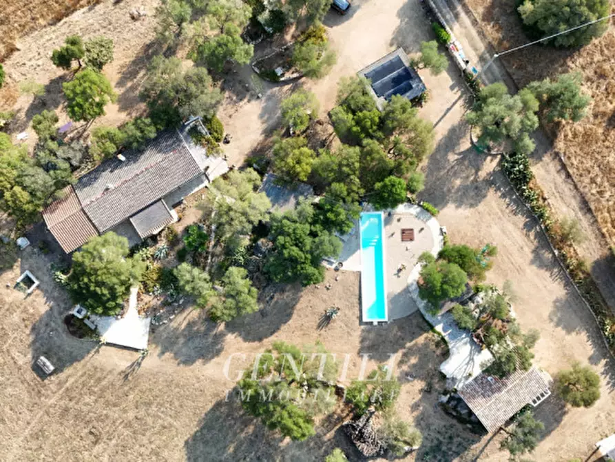 Immagine 2 di Villa in vendita  a Olbia