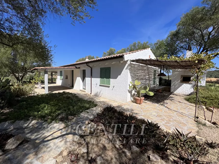 Immagine 3 di Villa in vendita  a Olbia