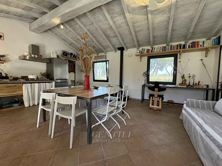 Immagine 5 di Villa in vendita  a Olbia