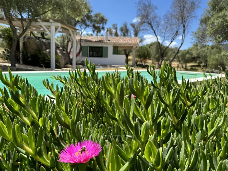 Immagine 17 di Villa in vendita  a Olbia