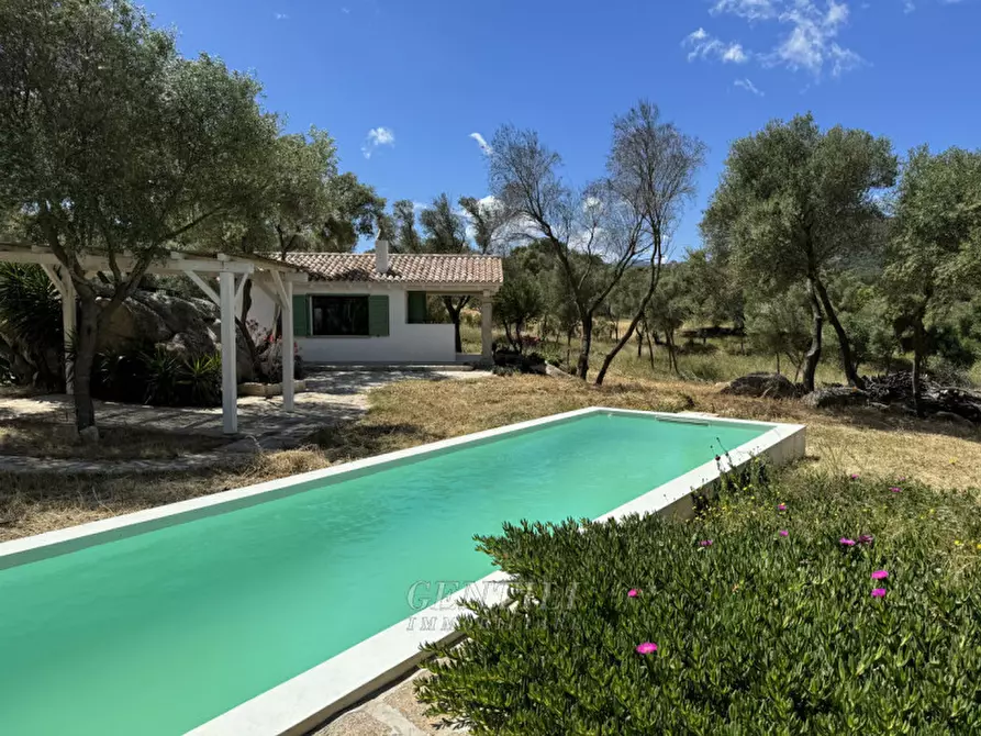 Immagine 18 di Villa in vendita  a Olbia
