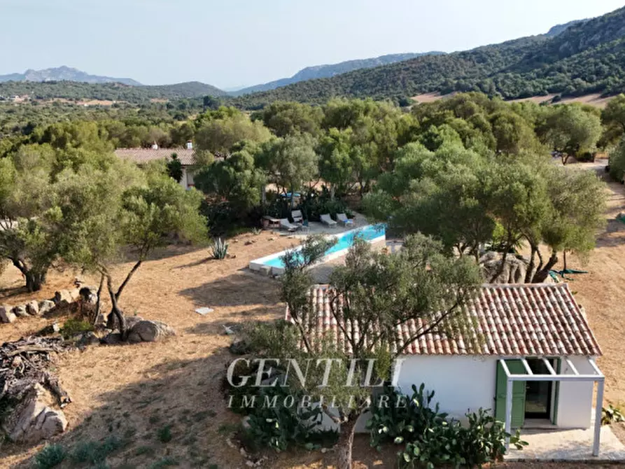 Immagine 19 di Villa in vendita  a Olbia