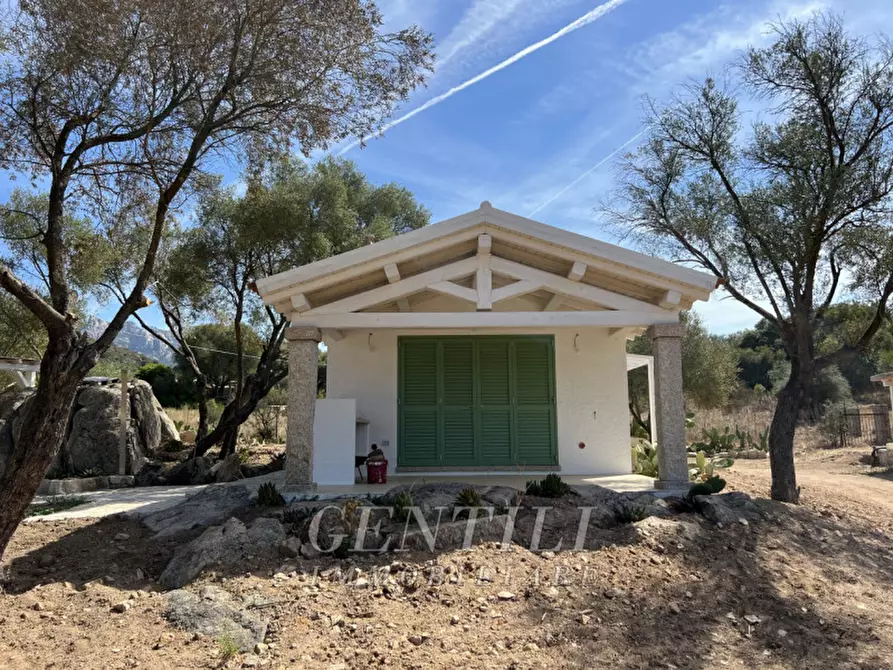 Immagine 20 di Villa in vendita  a Olbia